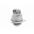 VAICO V10-50010 - Pompe à eau