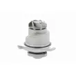 VAICO V10-50010 - Pompe à eau