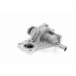 VAICO V10-50015 - Pompe à eau