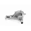 VAICO V10-50015 - Pompe à eau