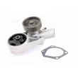 VAICO V10-50020 - Pompe à eau