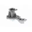 VAICO V10-50029 - Pompe à eau