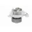 VAICO V10-50031 - Pompe à eau