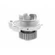 VAICO V10-50031 - Pompe à eau