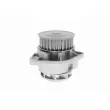 VAICO V10-50035 - Pompe à eau