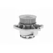 VAICO V10-50035 - Pompe à eau