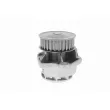 VAICO V10-50035 - Pompe à eau