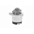 VAICO V10-50040 - Pompe à eau