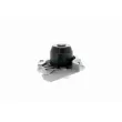 VAICO V10-50044 - Pompe à eau