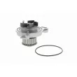 VAICO V10-50046 - Pompe à eau