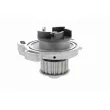 VAICO V10-50046 - Pompe à eau