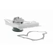 VAICO V10-50053 - Pompe à eau