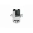 VAICO V10-50060 - Pompe à eau