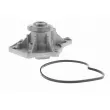 VAICO V10-50066 - Pompe à eau