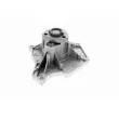 VAICO V10-50066 - Pompe à eau