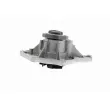 VAICO V10-50066 - Pompe à eau