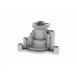 VAICO V10-50070 - Pompe à eau