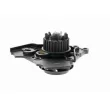 VAICO V10-50072 - Pompe à eau