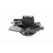 VAICO V10-50072 - Pompe à eau