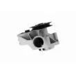 VAICO V10-50075 - Pompe à eau
