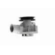 VAICO V10-50075 - Pompe à eau