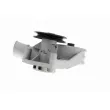VAICO V10-50075 - Pompe à eau