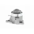 VAICO V10-50081 - Pompe à eau
