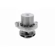 VAICO V10-50099 - Pompe à eau