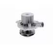 VAICO V10-50099 - Pompe à eau