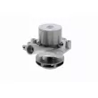VAICO V10-50099 - Pompe à eau