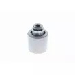 VAICO V10-50105-BEK - Pompe à eau + kit de courroie de distribution