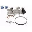 Pompe à eau + kit de courroie de distribution VAICO [V10-50114]