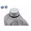 VAICO V10-50114-XXL - Pompe à eau + kit de courroie crantée