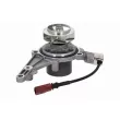 VAICO V10-50116 - Pompe à eau, refroidissement du moteur