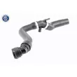 VAICO V10-5156 - Durite de radiateur