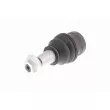 VAICO V10-5260 - Rotule de suspension
