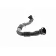 VAICO V10-5468 - Tuyau, ventilation de carter-moteur