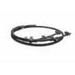 VAICO V10-5507 - Tuyau, carburant de fuite