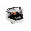 Support moteur avant droit VAICO [V10-5571]