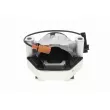 VAICO V10-5571 - Support moteur avant droit