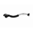 VAICO V10-5579 - Tuyau, ventilation de carter-moteur