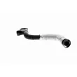 VAICO V10-5579 - Tuyau, ventilation de carter-moteur