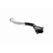 VAICO V10-5579 - Tuyau, ventilation de carter-moteur