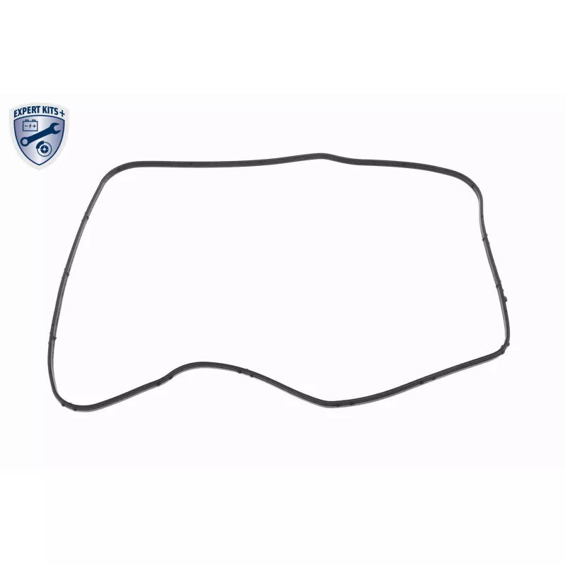 Kit pces, vidange d'huile de boîte de vitesses automatique VAICO V10-5582-BEK - Visuel 2