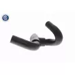 VAICO V10-5604 - Durite de radiateur