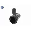 VAICO V10-5754 - Durite de radiateur