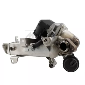 Module-EGR MEAT & DORIA OEM 11717810751