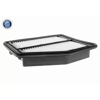 Filtre à air ACKOJA OEM 17220R1AA01