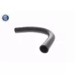 ACKOJA A26-1603 - Durite de radiateur