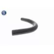 ACKOJA A26-1603 - Durite de radiateur